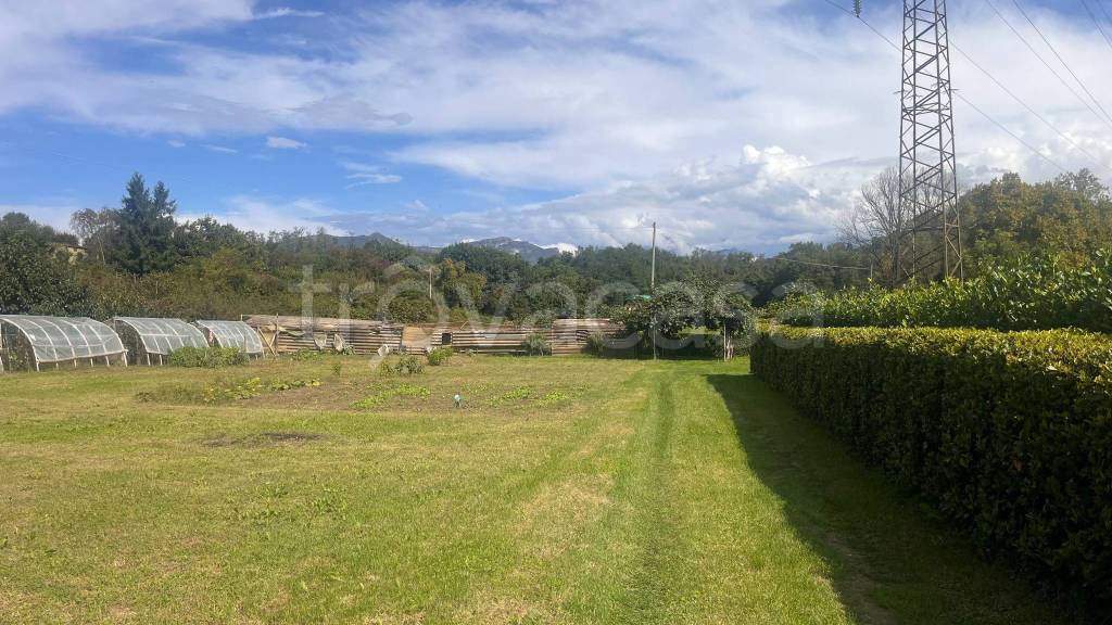 immagine annuncio 13 di 14