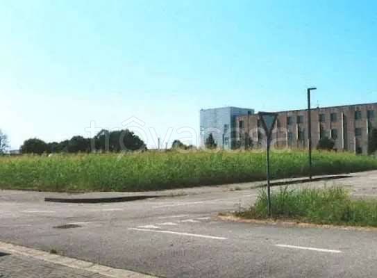 immagine annuncio 3 di 14