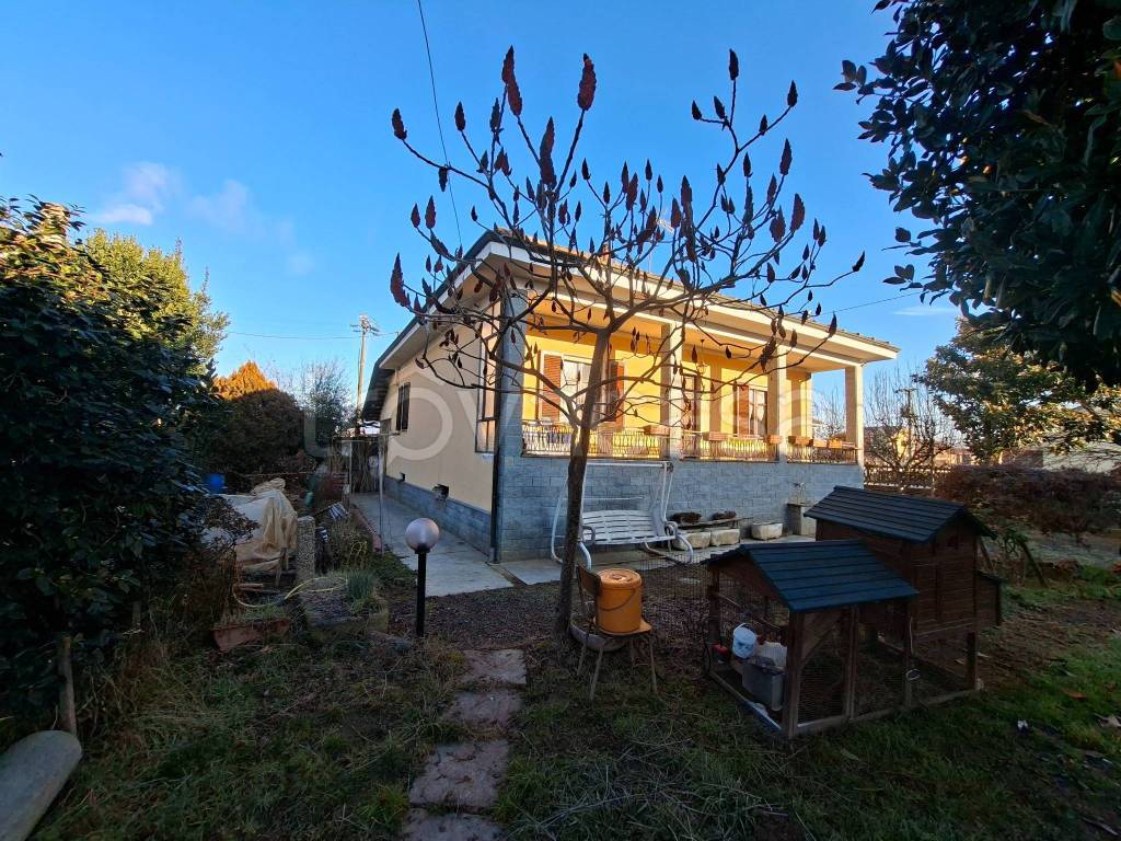 immagine annuncio 3 di 15