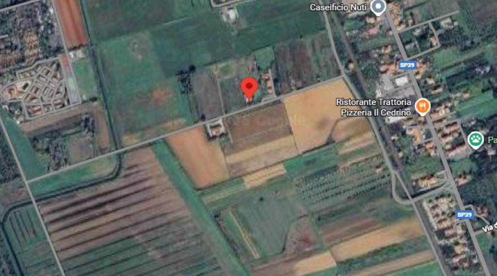 immagine annuncio 2 di 13