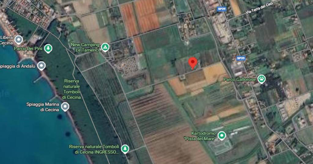 immagine annuncio 3 di 13