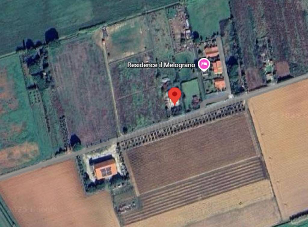 immagine annuncio 4 di 13