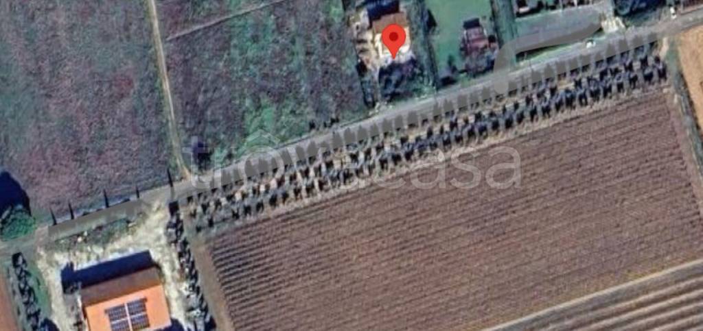 immagine annuncio 5 di 13