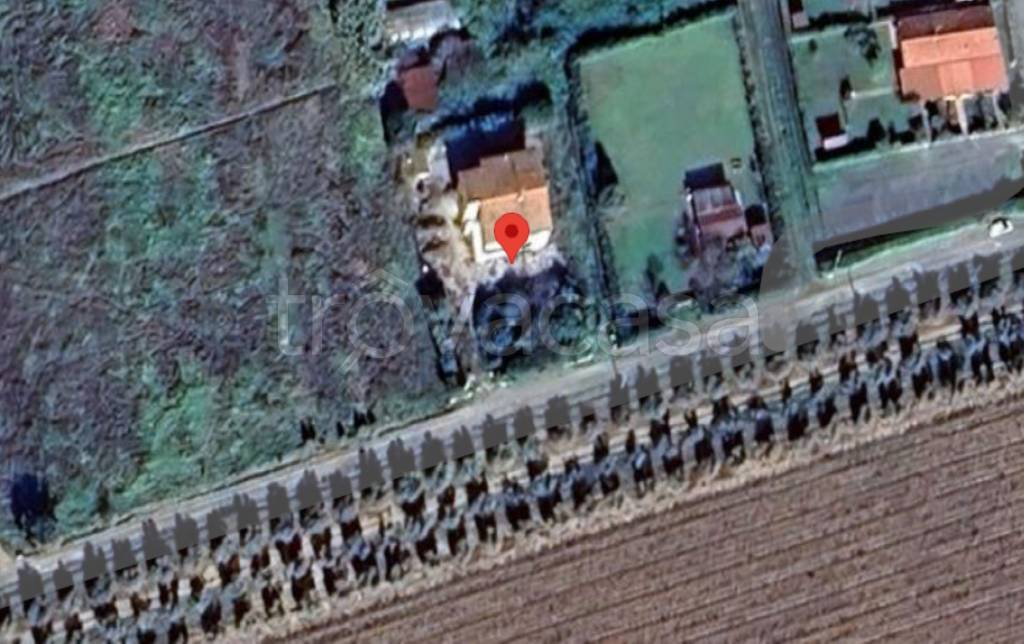 immagine annuncio 6 di 13