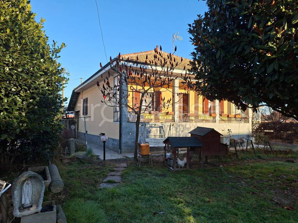 immagine annuncio 12 di 15