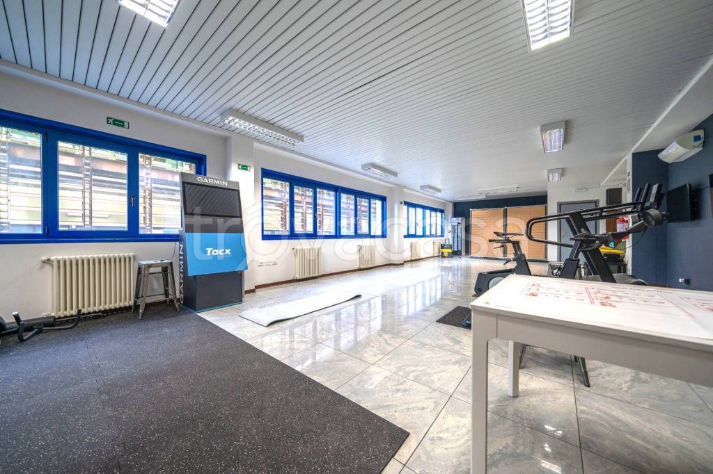 immagine annuncio 3 di 9