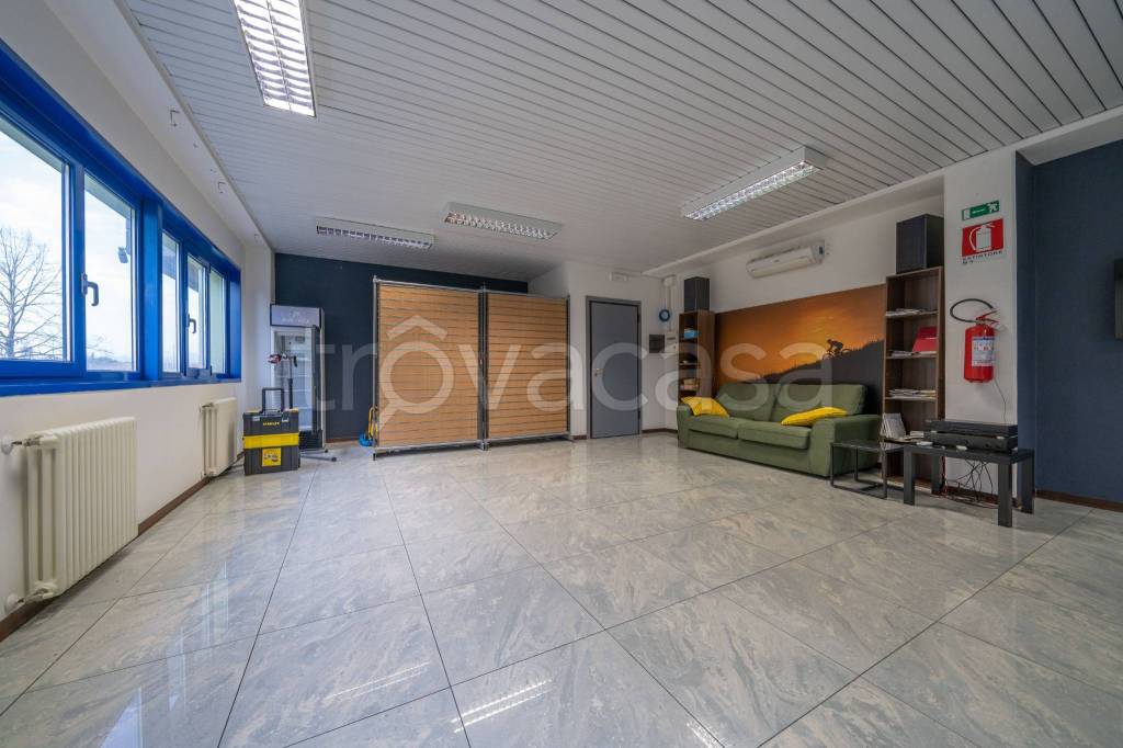 immagine annuncio 5 di 9