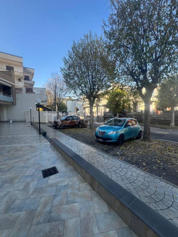 immagine annuncio 2 di 6