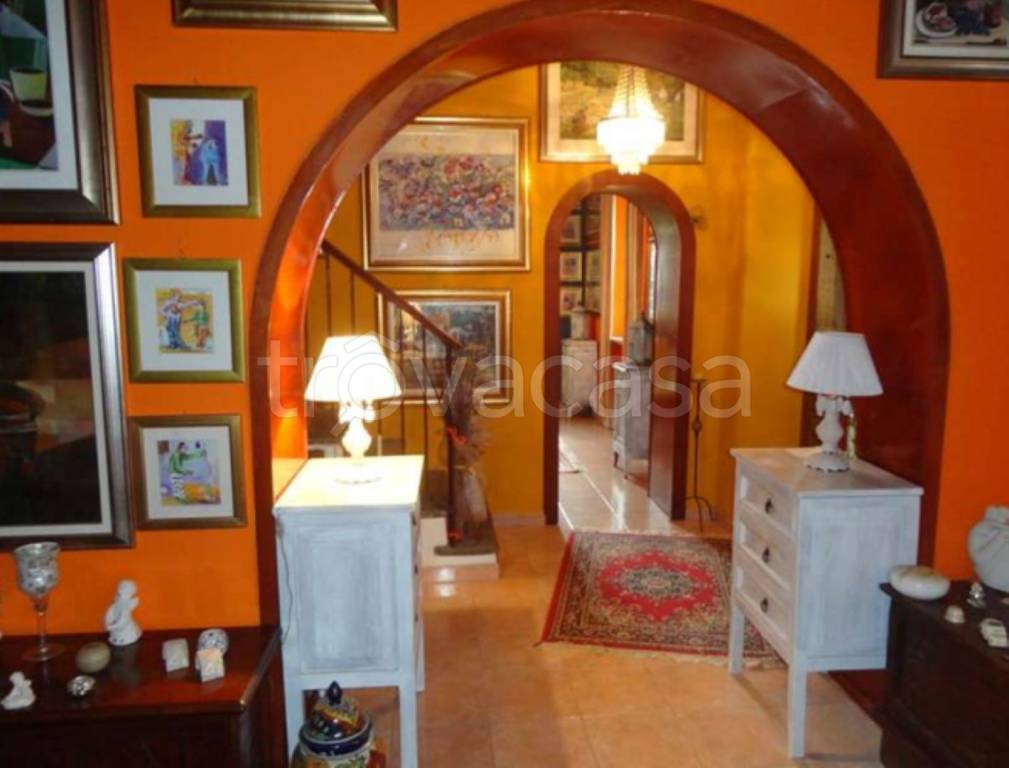 immagine annuncio 9 di 11