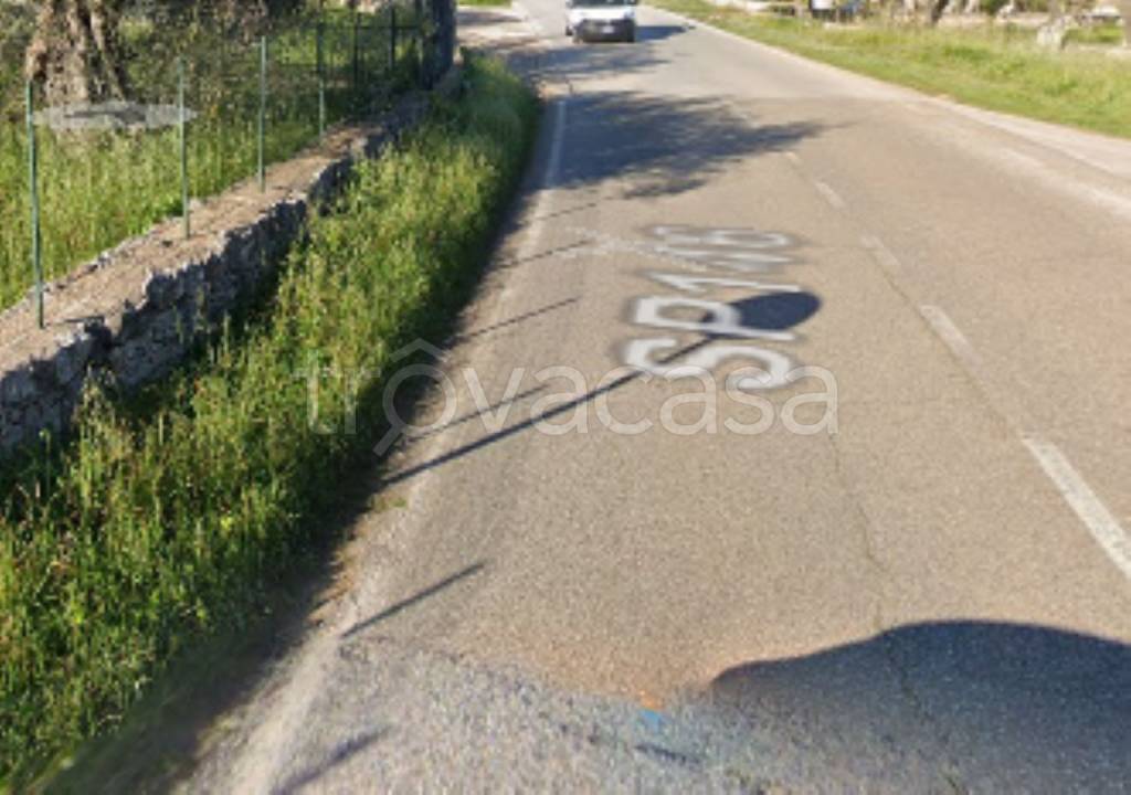 immagine annuncio 9 di 11