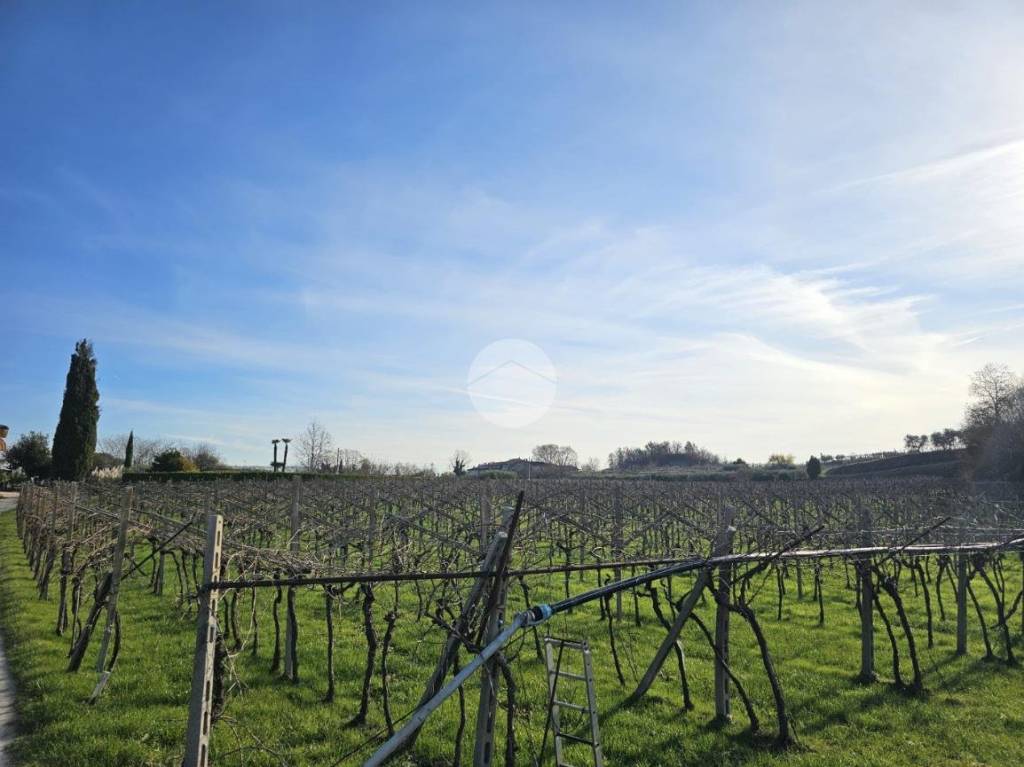 immagine annuncio 4 di 7