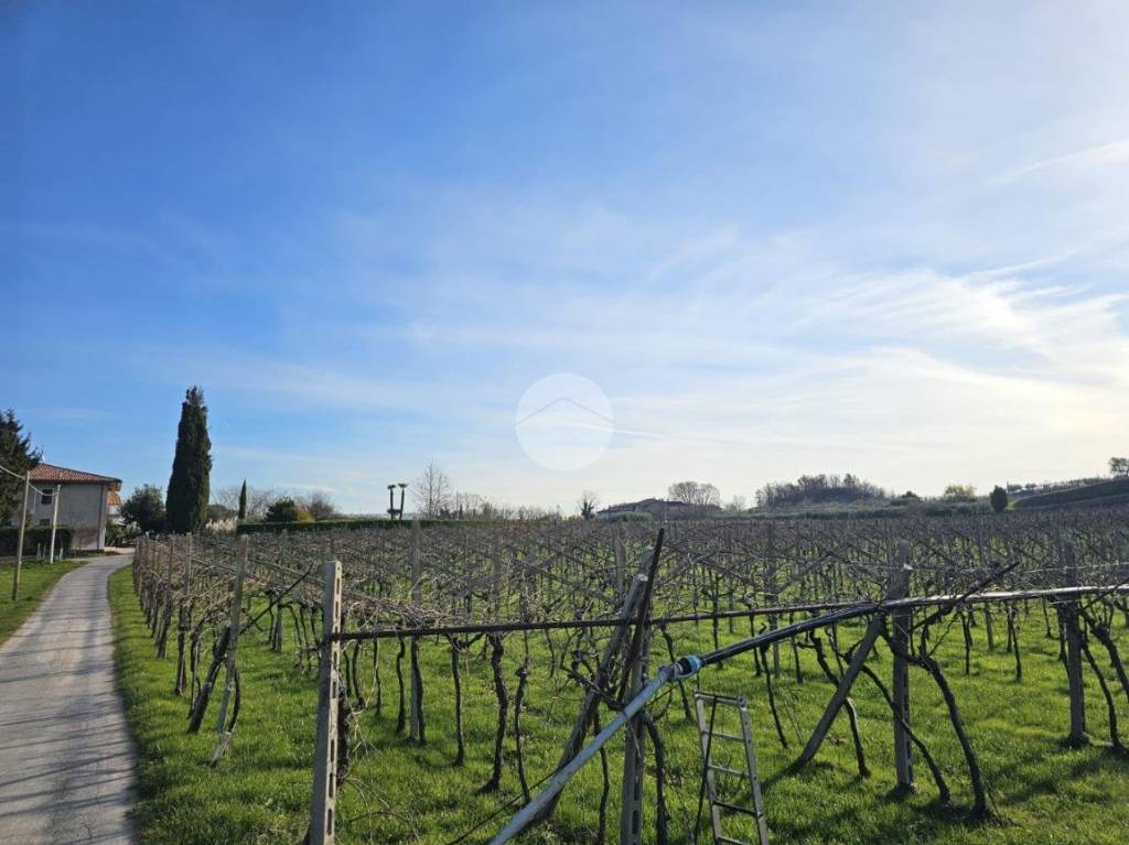 immagine annuncio 5 di 7