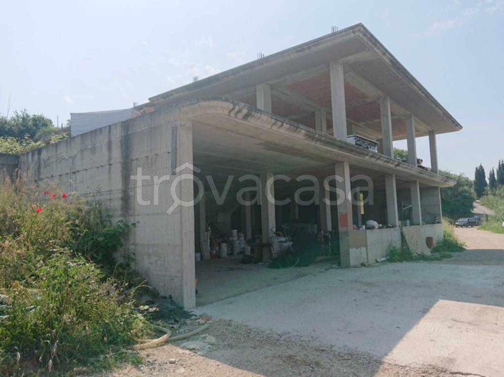 immagine annuncio 6 di 11