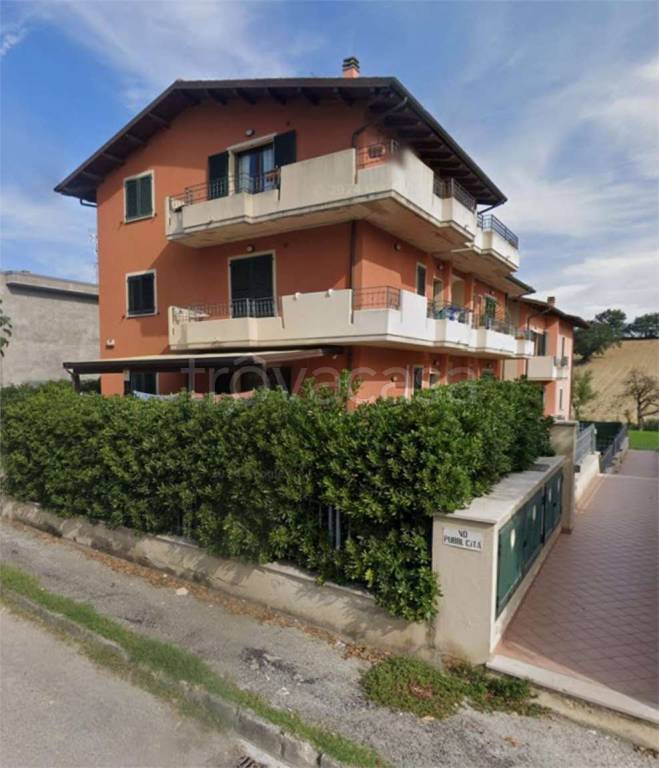 immagine annuncio 7 di 12