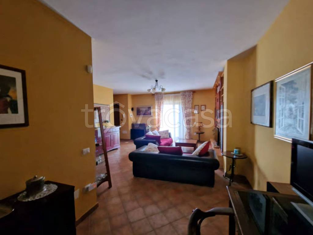 immagine annuncio 3 di 13