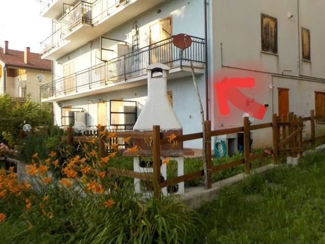 immagine annuncio 2 di 14