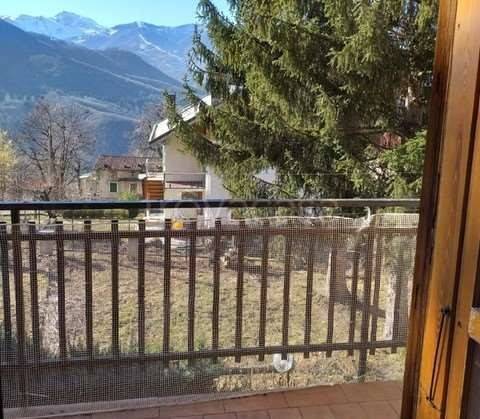 immagine annuncio 12 di 14