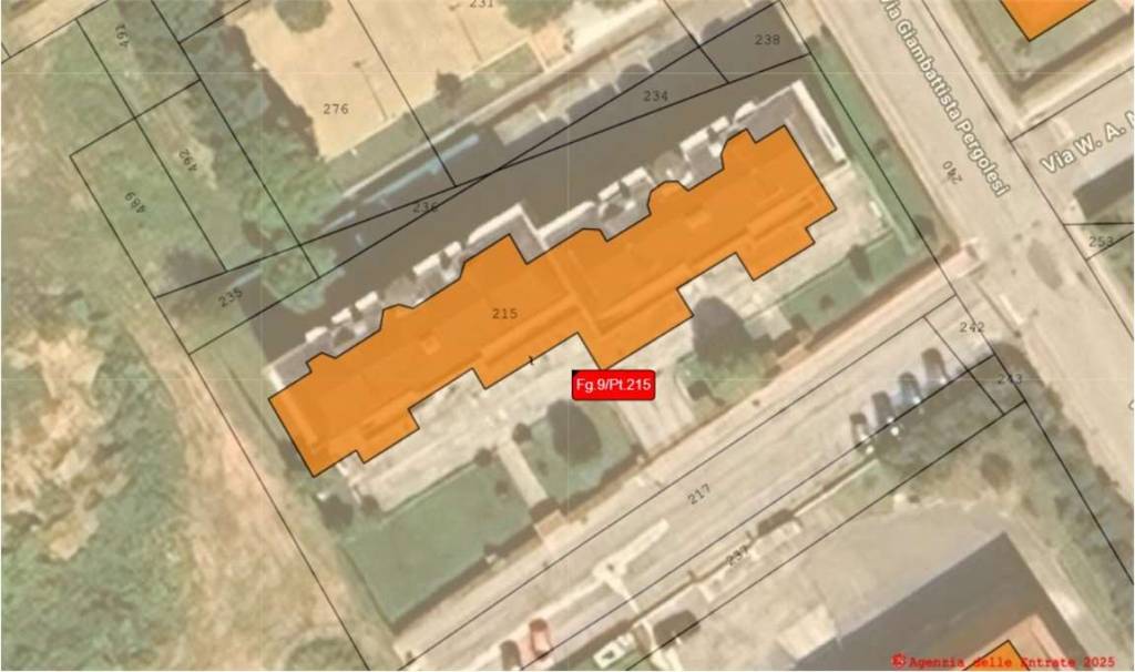 immagine annuncio 10 di 13