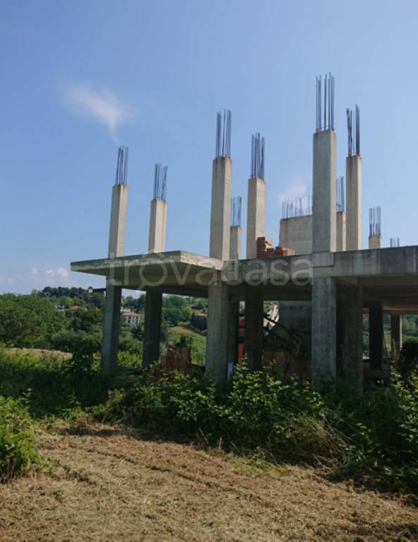 immagine annuncio 2 di 12