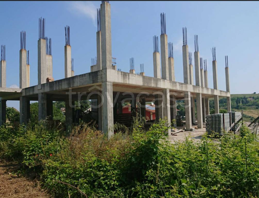 immagine annuncio 3 di 12