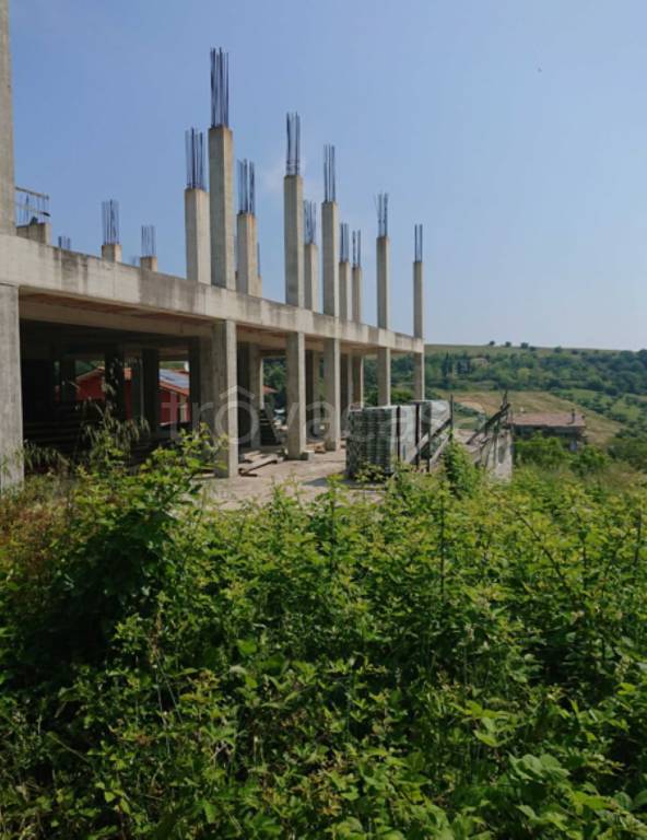 immagine annuncio 4 di 12