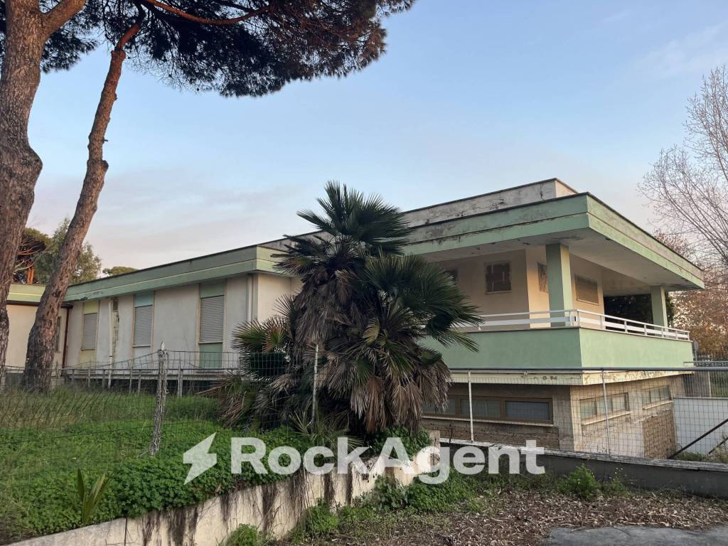 immagine annuncio 3 di 8