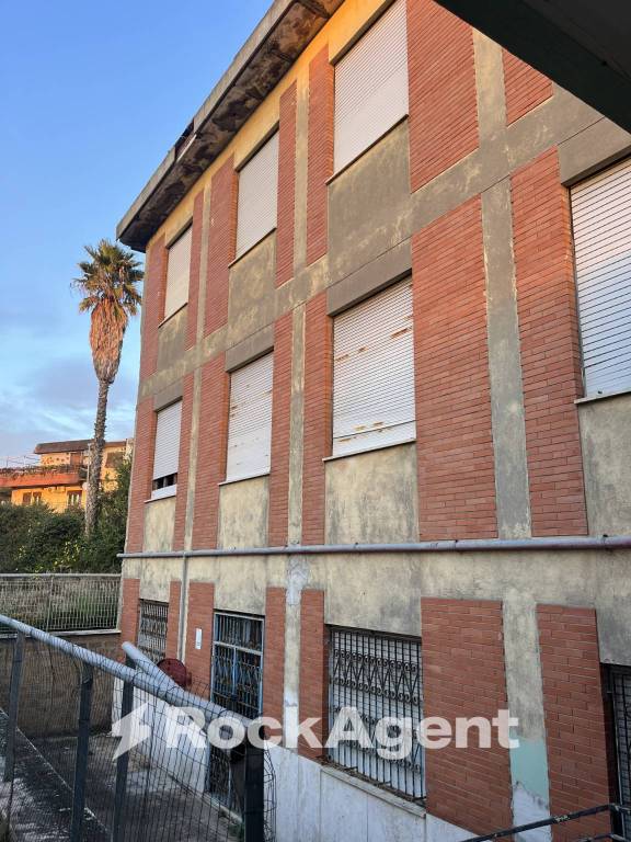 immagine annuncio 4 di 8