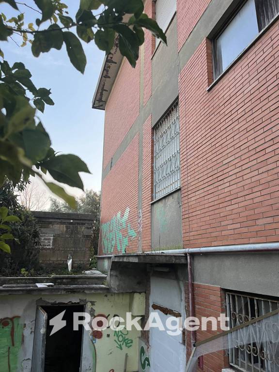 immagine annuncio 5 di 8