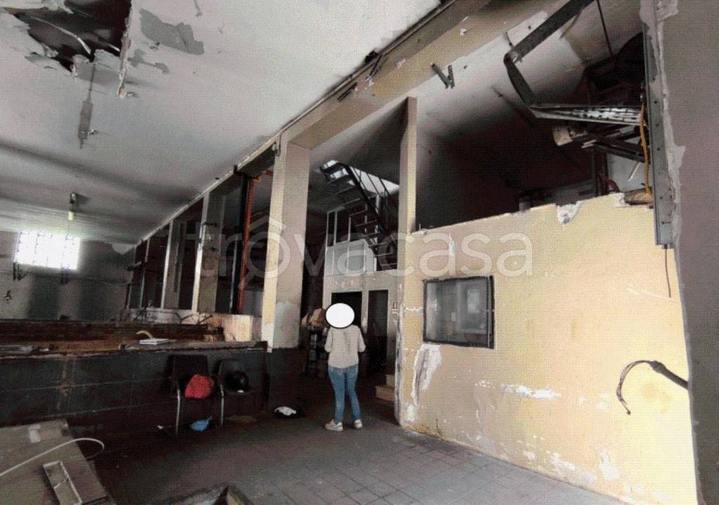 immagine annuncio 3 di 12