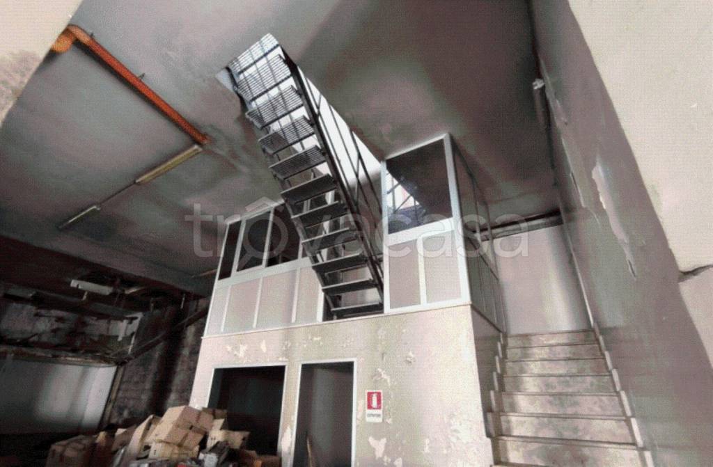 immagine annuncio 4 di 12