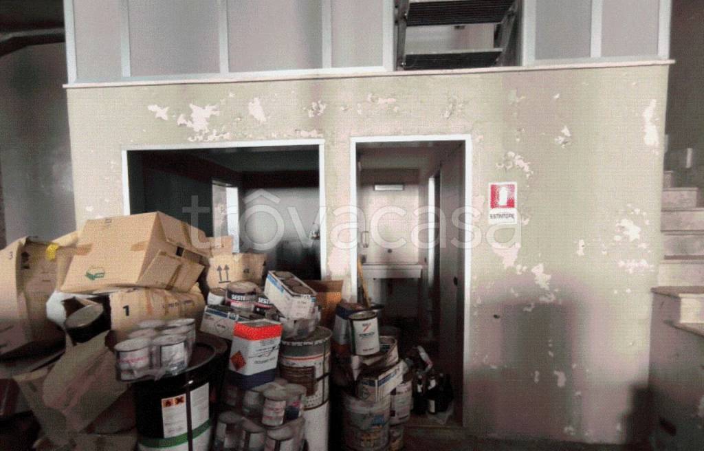 immagine annuncio 5 di 12