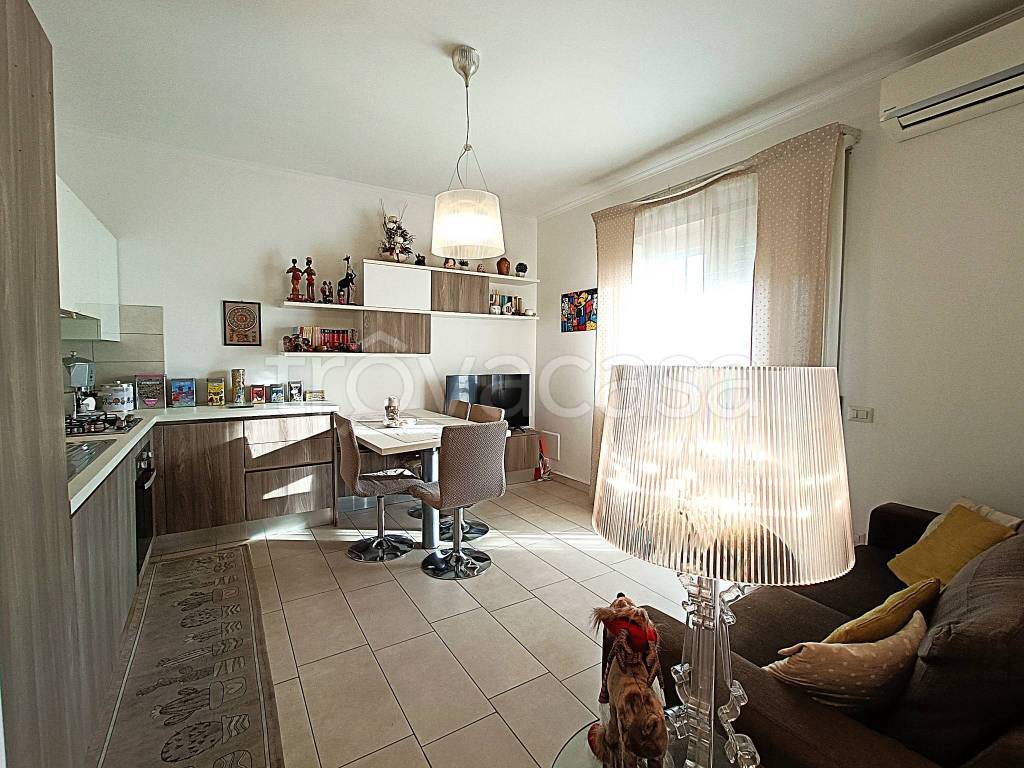 immagine annuncio 3 di 15