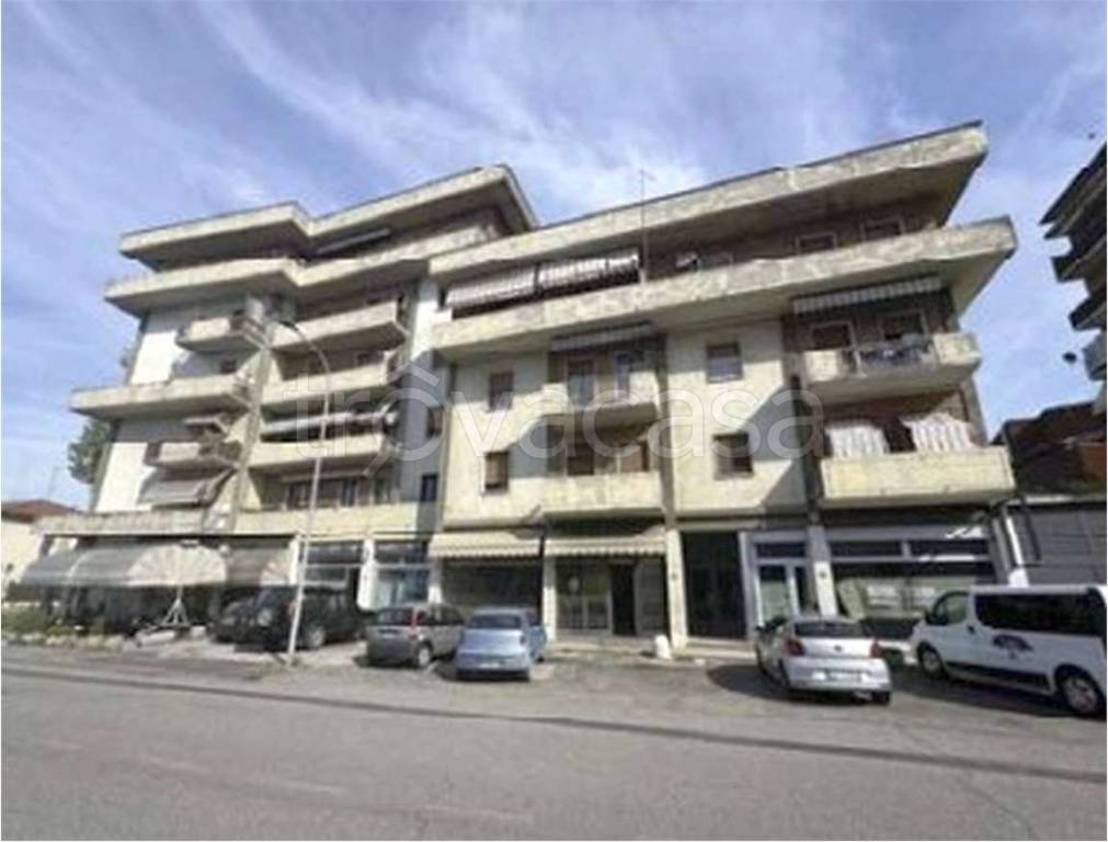 immagine annuncio 1 di 12