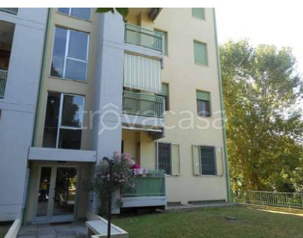 immagine annuncio 4 di 11