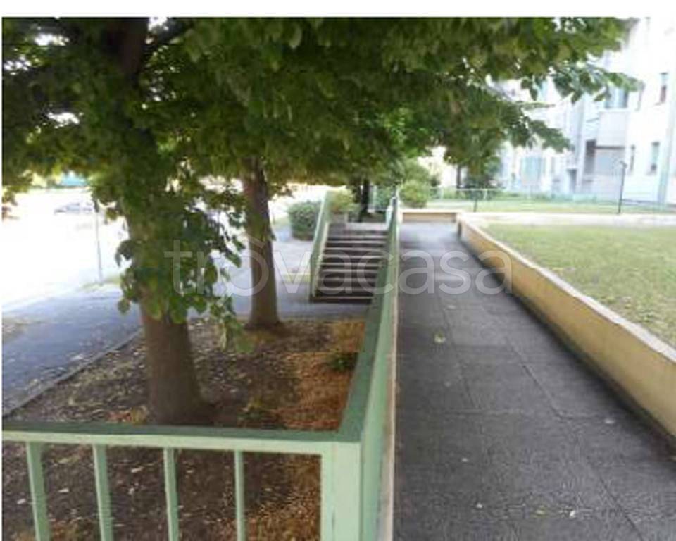 immagine annuncio 7 di 11