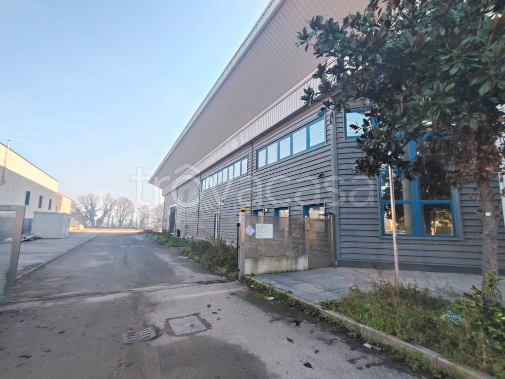 immagine annuncio 1 di 4