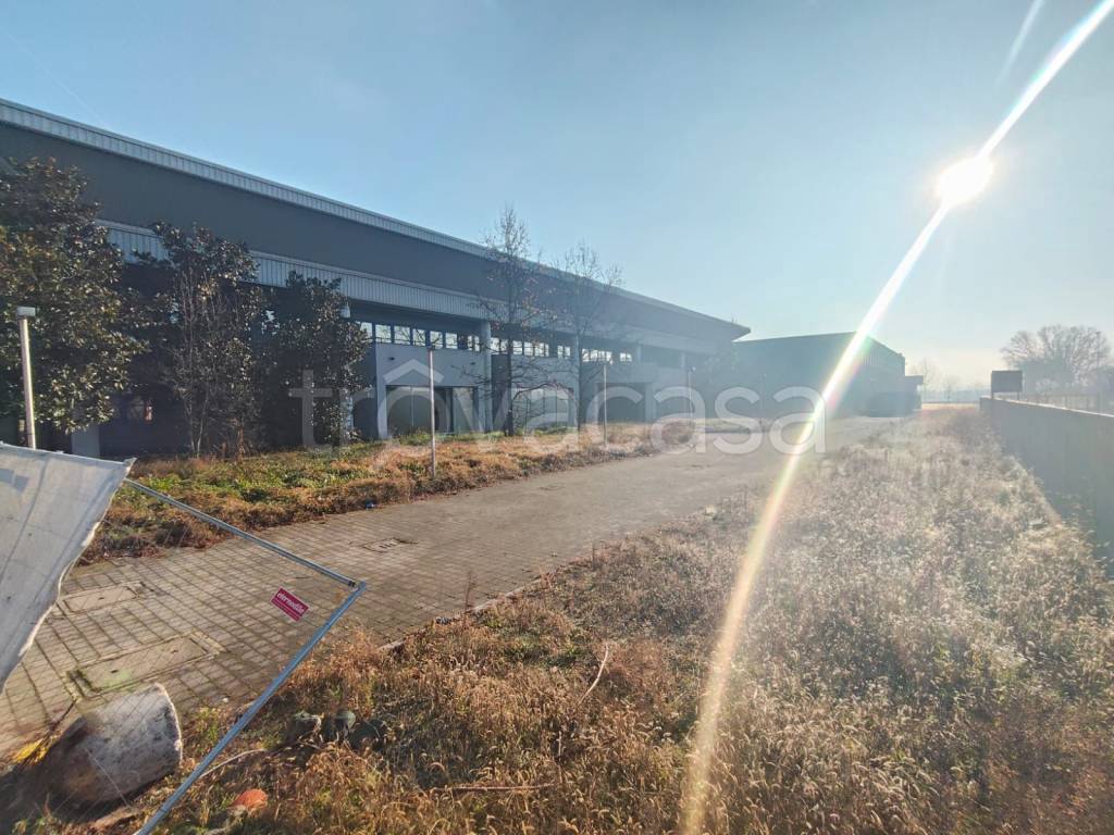 immagine annuncio 2 di 4