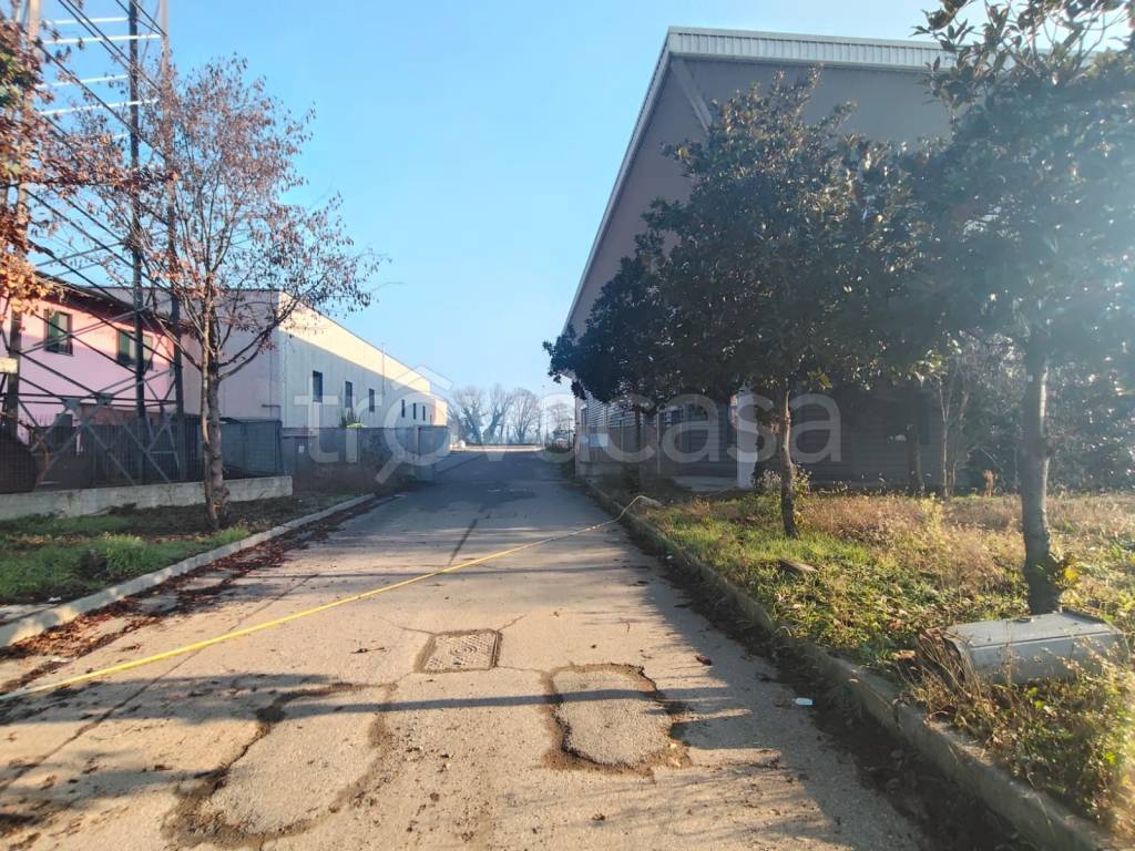 immagine annuncio 3 di 4