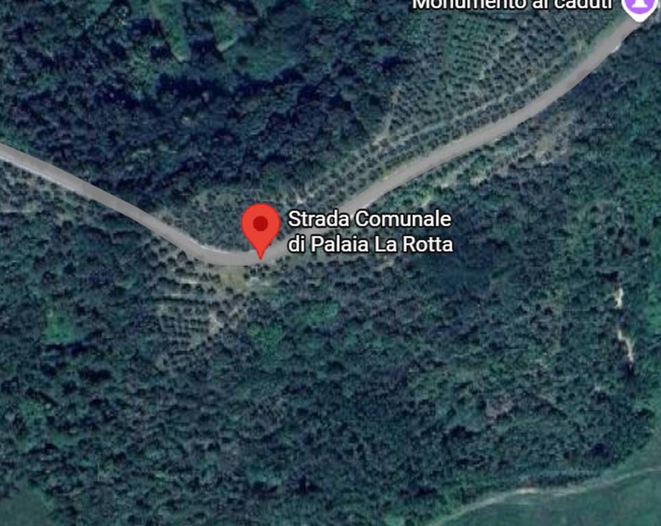 immagine annuncio 9 di 11