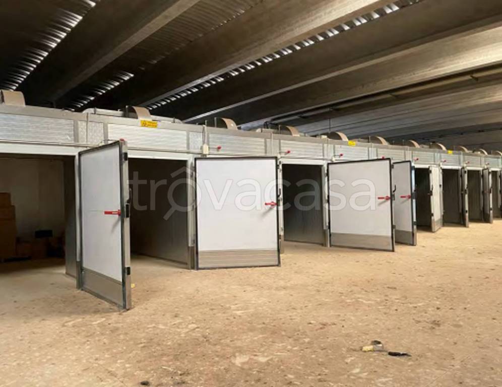 immagine annuncio 2 di 11