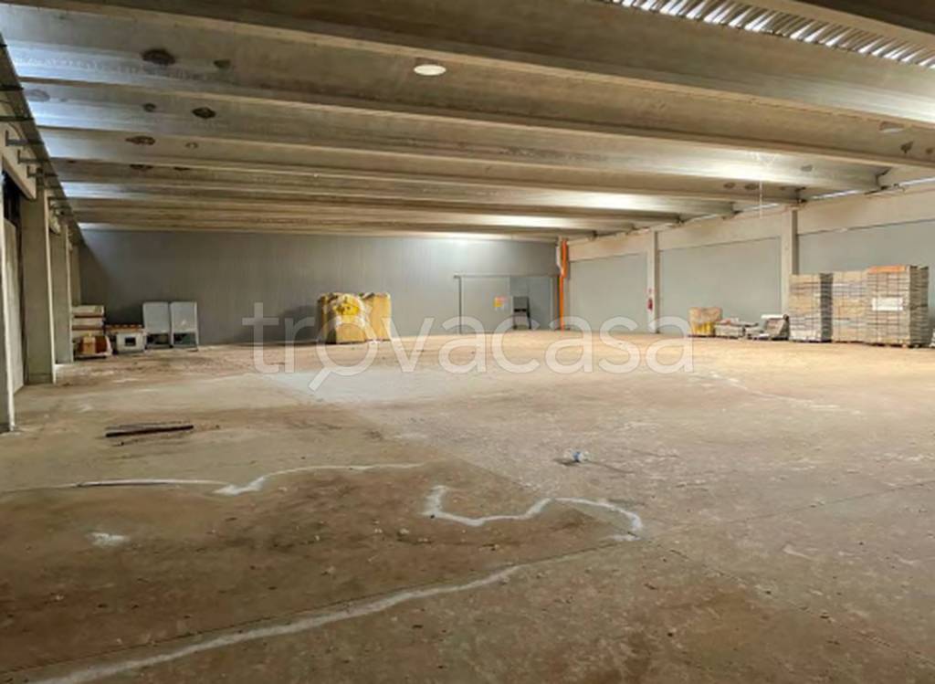 immagine annuncio 5 di 11