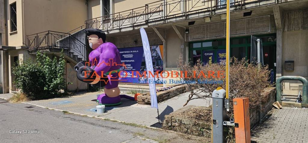 immagine annuncio 1 di 13