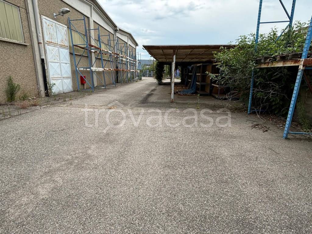 immagine annuncio 9 di 15