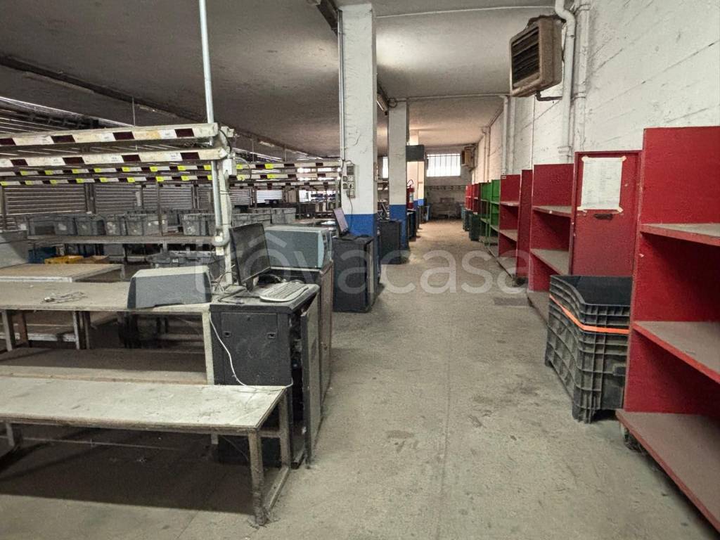 immagine annuncio 5 di 15