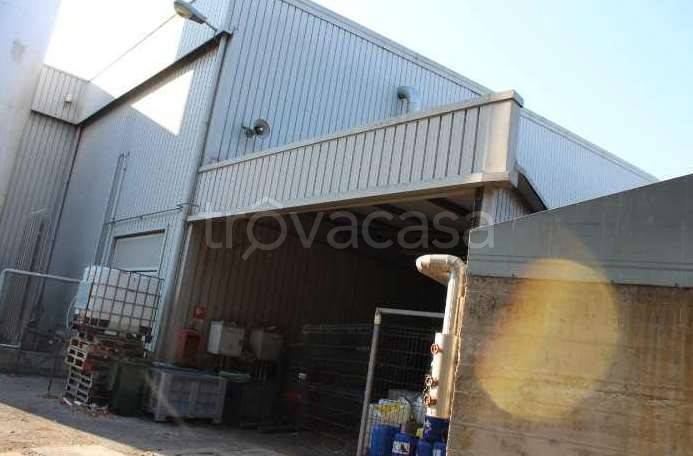 immagine annuncio 1 di 12