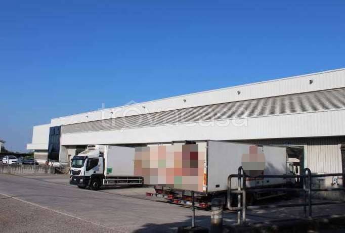 immagine annuncio 4 di 12