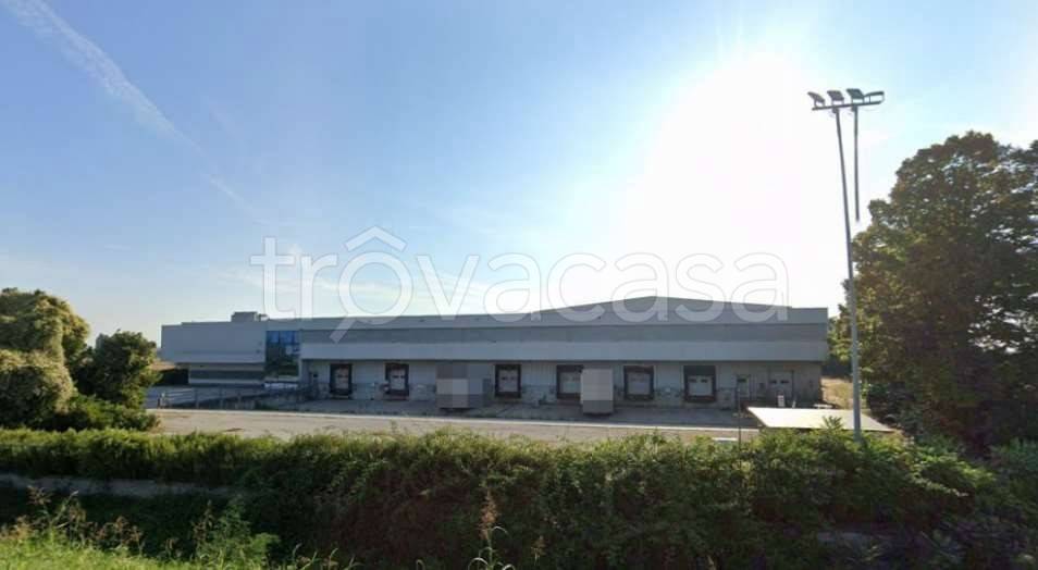 immagine annuncio 5 di 12