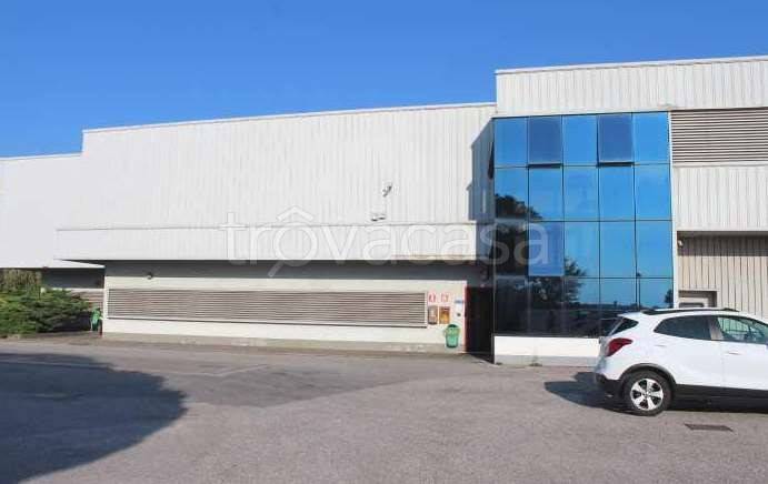 immagine annuncio 6 di 12