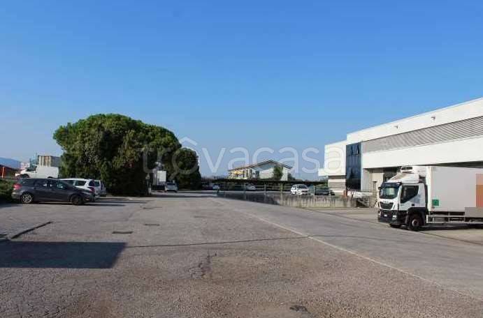 immagine annuncio 8 di 12