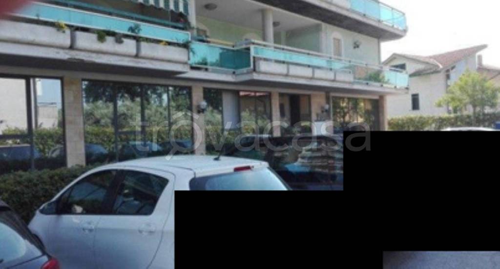 immagine annuncio 3 di 11